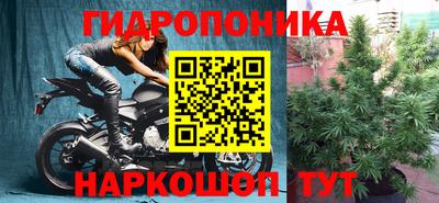 прущий лед Сланцы