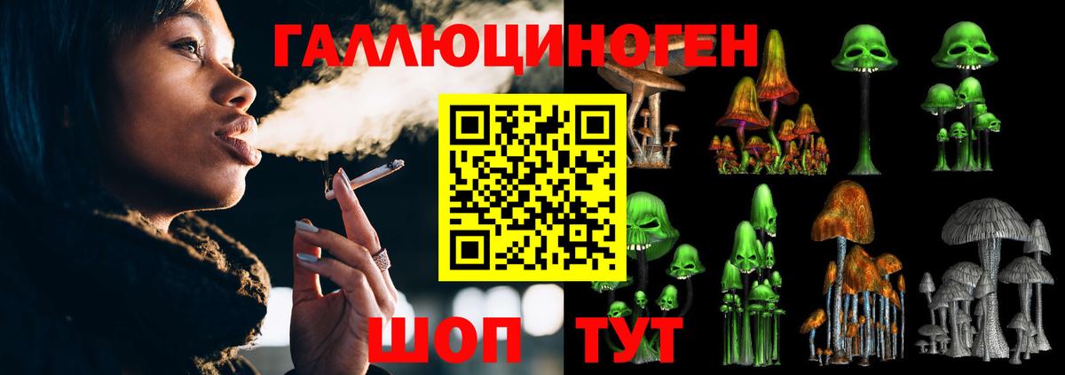 Псилоцибиновые грибы мухоморы Пенза