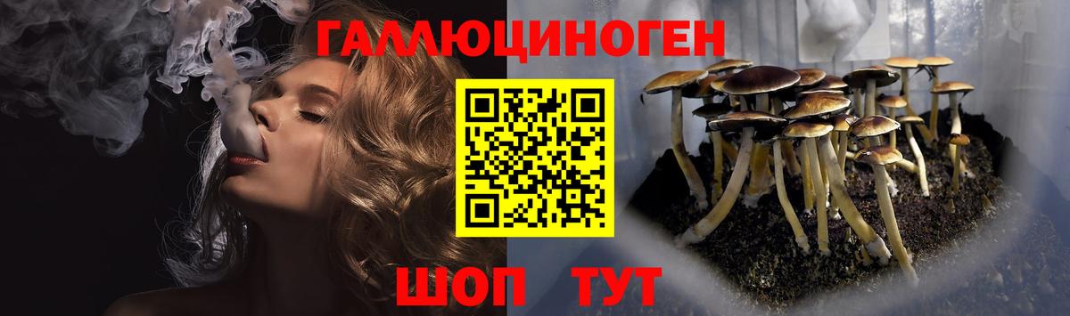 Псилоцибиновые грибы мухоморы  Вход с VPN  Псилоцибиновые грибы MAGIC MUSHROOMS  Пенза 